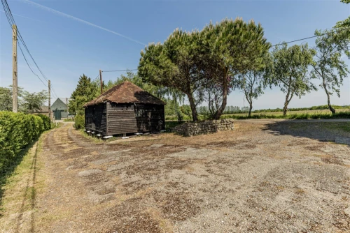 House - Detached Main Photo