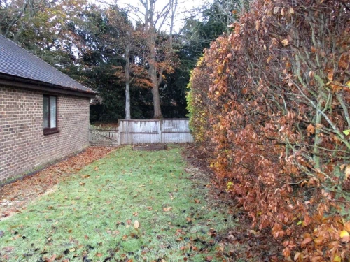 Bungalow - Detached Main Photo