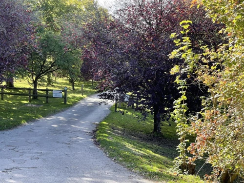 House - Semi-Detached Main Photo