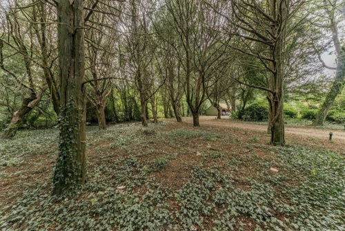 House - Detached Photo 1