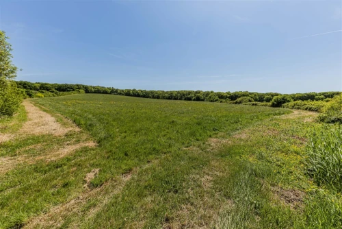 House - Detached Main Photo