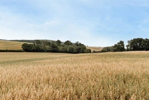 Farm Main Photo