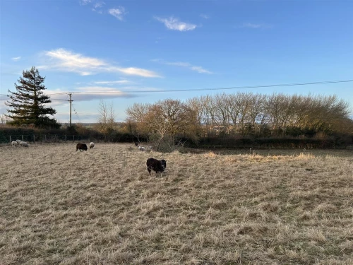 Development Main Photo