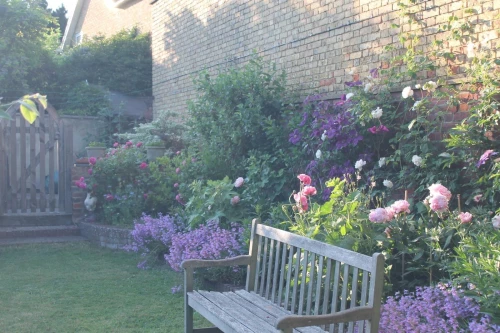 House - Townhouse Main Photo