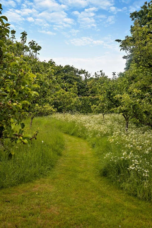 House - Detached Main Photo