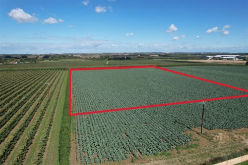 Land Main Photo