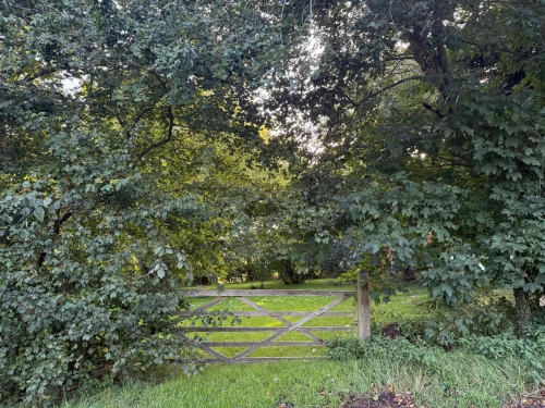 House - Detached Main Photo