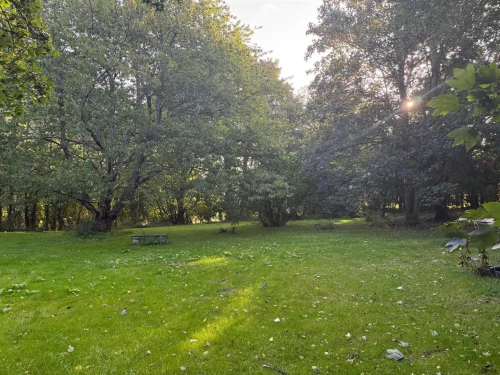 House - Detached Main Photo