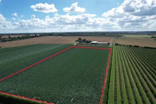 Land Main Photo
