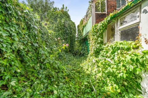 House - Terraced Main Photo