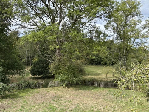 House - Detached Main Photo