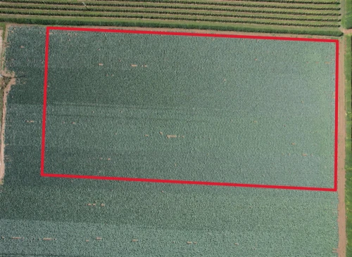 Land Main Photo