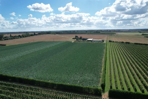 Land Main Photo