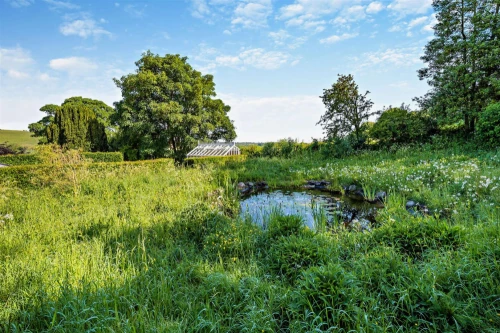 House - Detached Main Photo