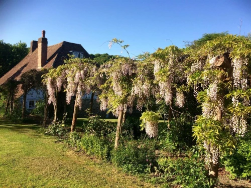 House - Detached Main Photo