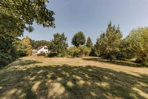 House - Detached Main Photo