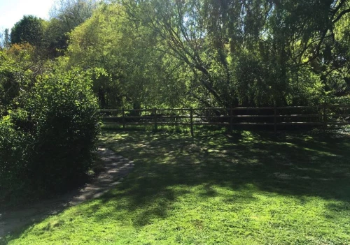 House - Detached Main Photo