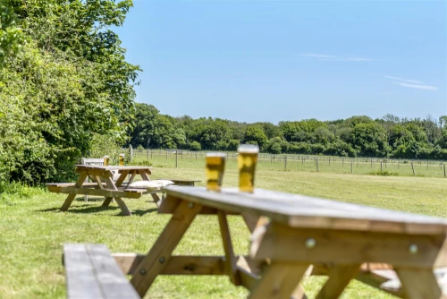 Land - Agricultural Main Photo