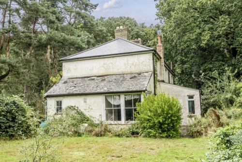 House - Detached Photo 3