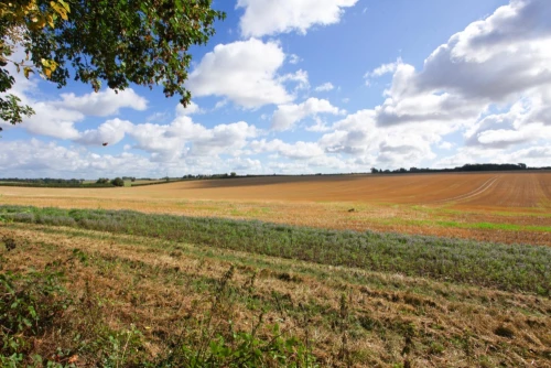 House - End Terrace Main Photo