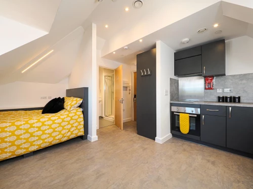 Apartment - Studio Photo 4