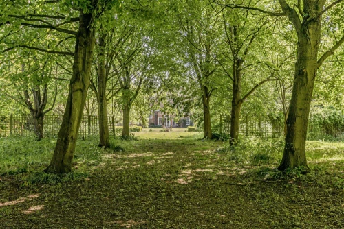 House - Detached Main Photo