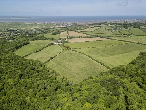 House - Detached Main Photo