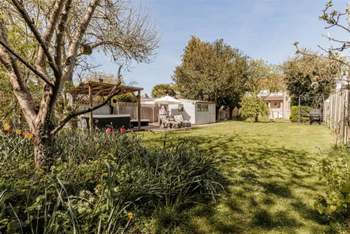 House - Semi-Detached Main Photo