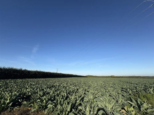 Land Main Photo