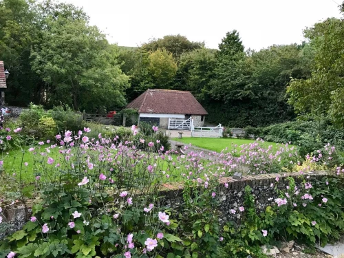 House - Detached Main Photo