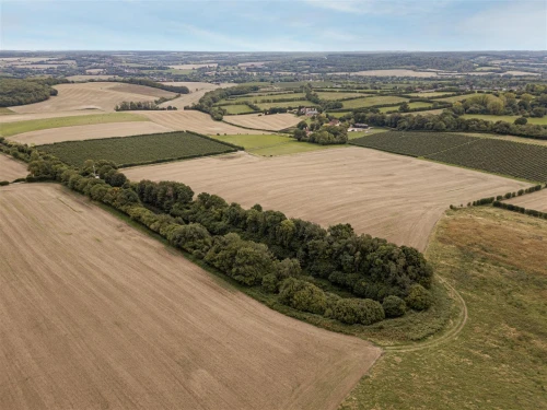 Farm Main Photo