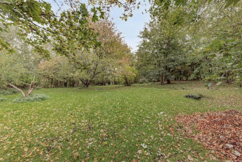 House - Detached Main Photo