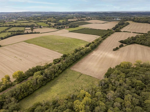 Farm Main Photo