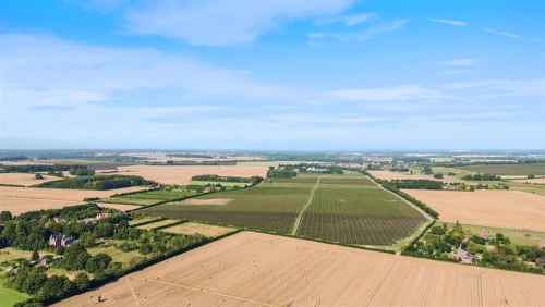 House - Detached Main Photo