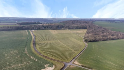 Land - Agricultural Main Photo