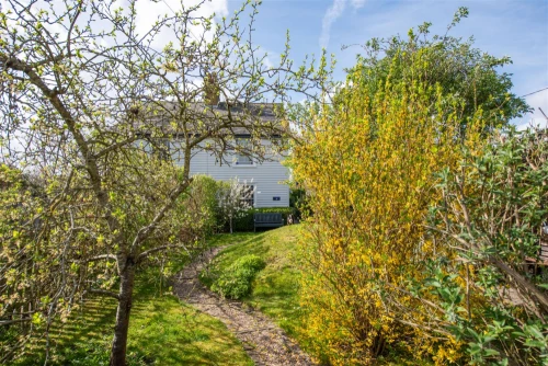 House - Semi-Detached Main Photo